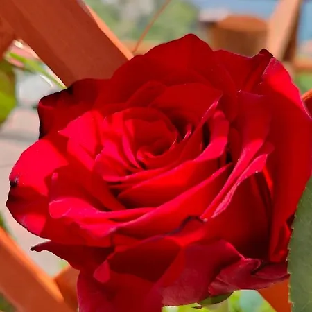 Lejlighed Rachele House